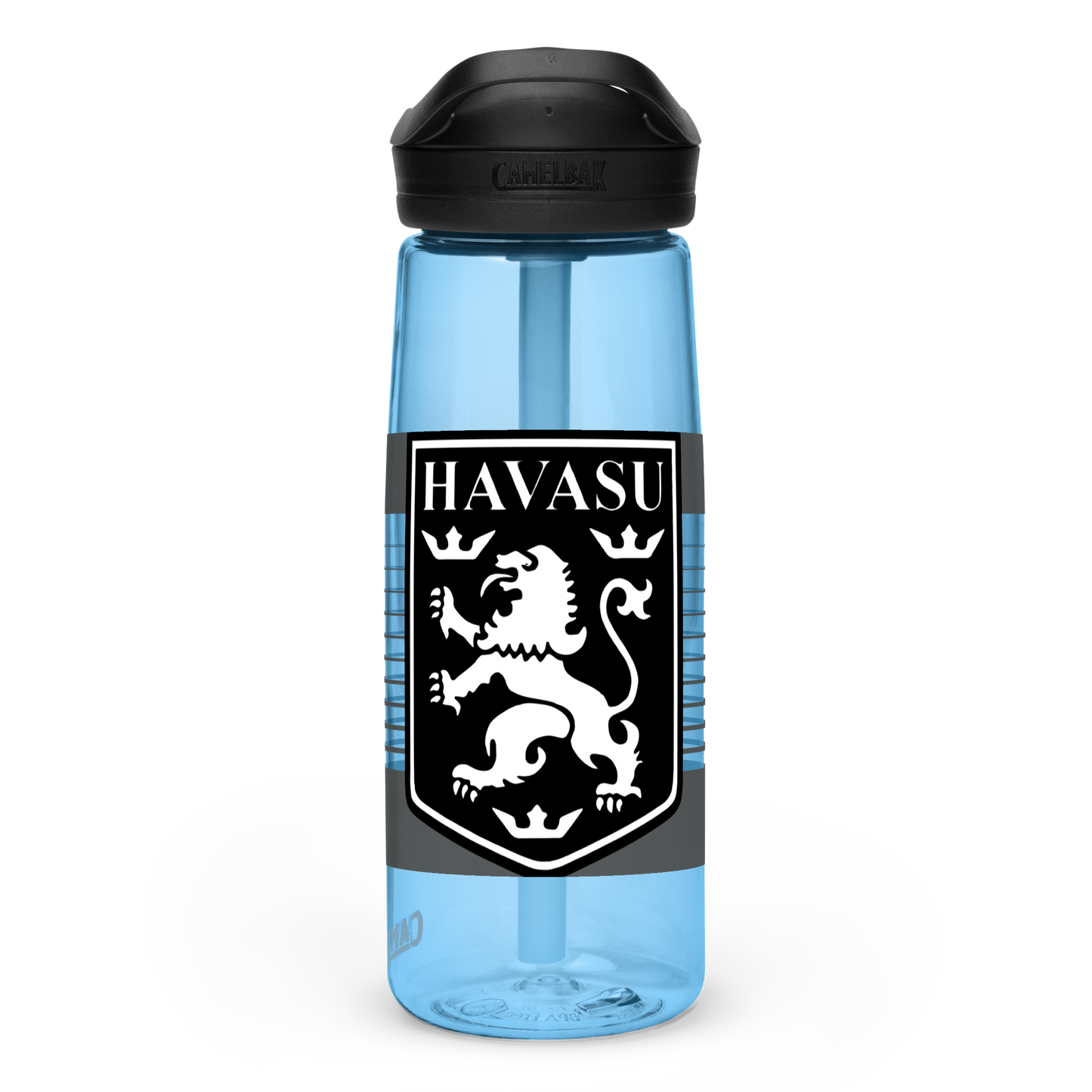 Lions FC | Logo Sports water bottle