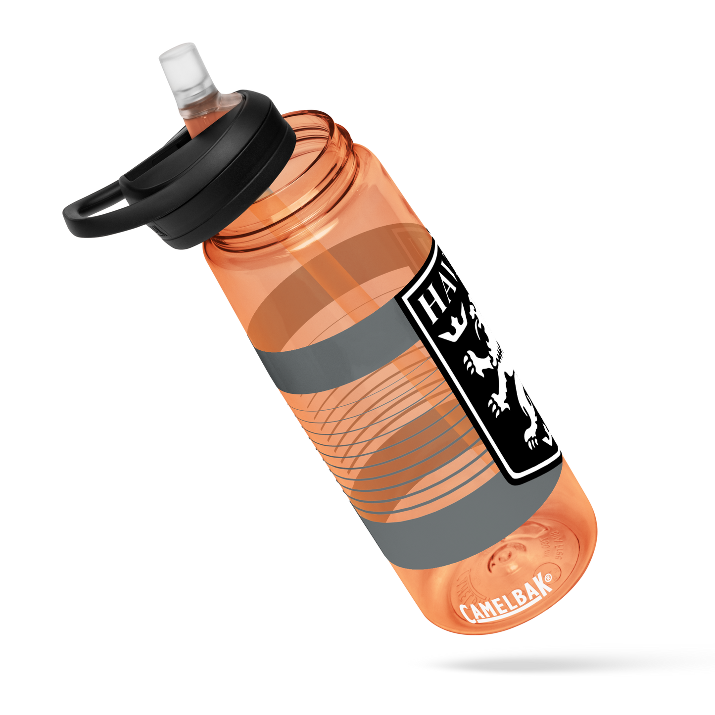 Lions FC | Logo Sports water bottle