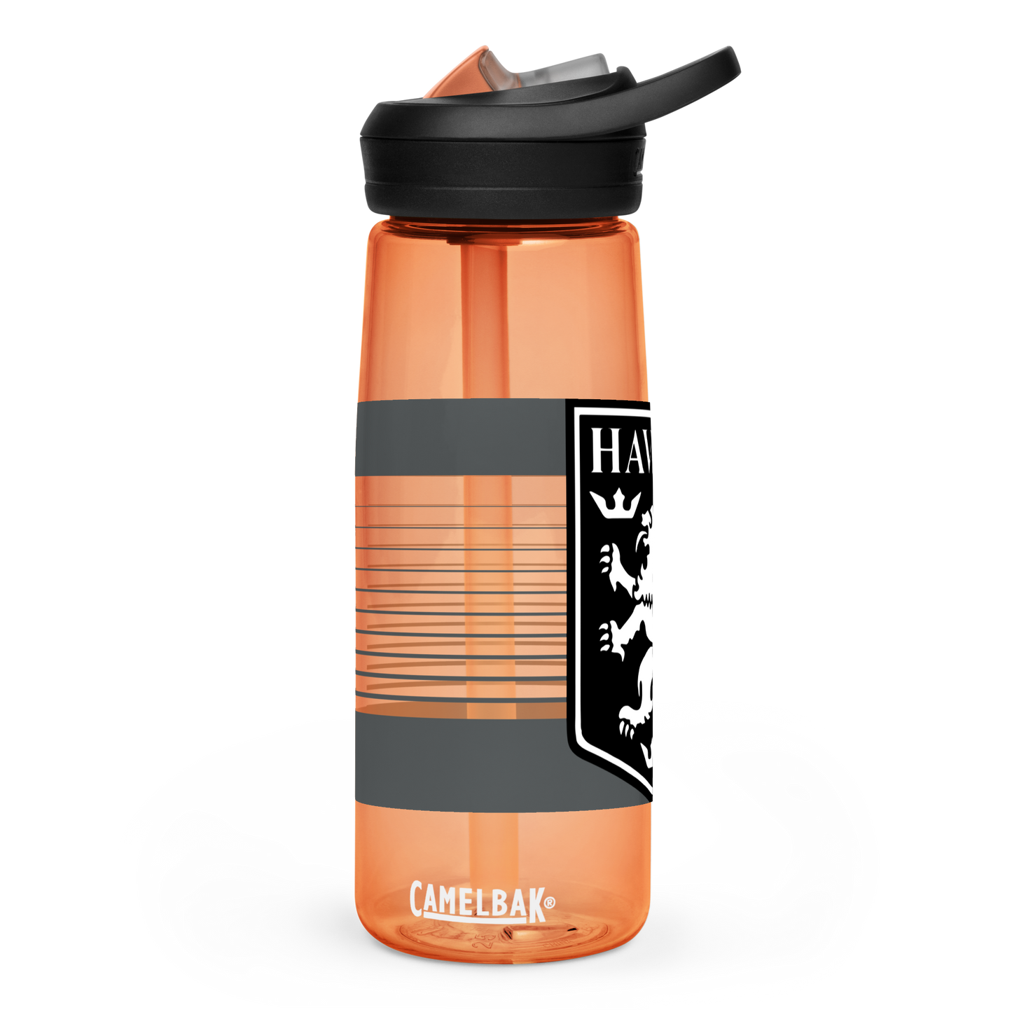 Lions FC | Logo Sports water bottle