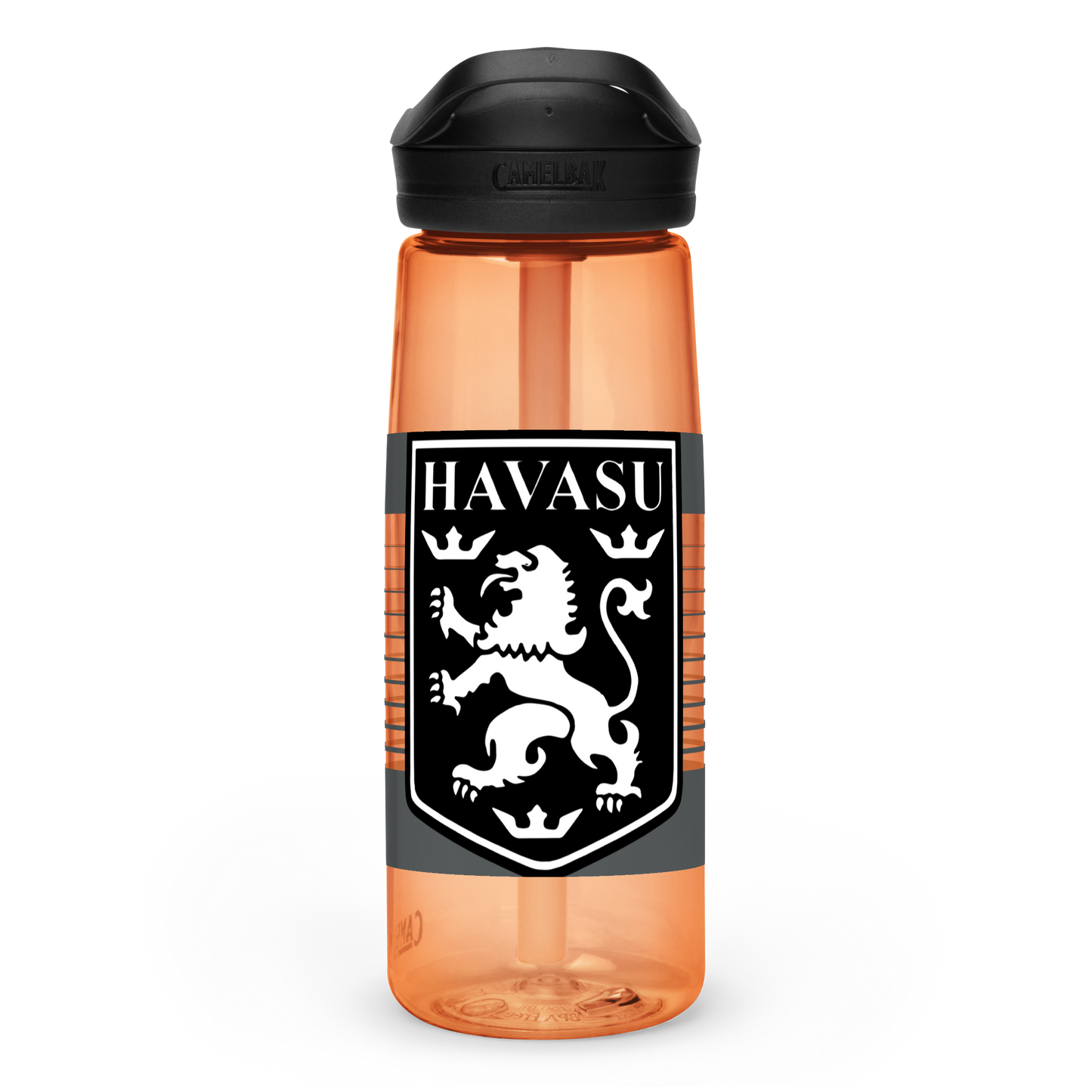 Lions FC | Logo Sports water bottle