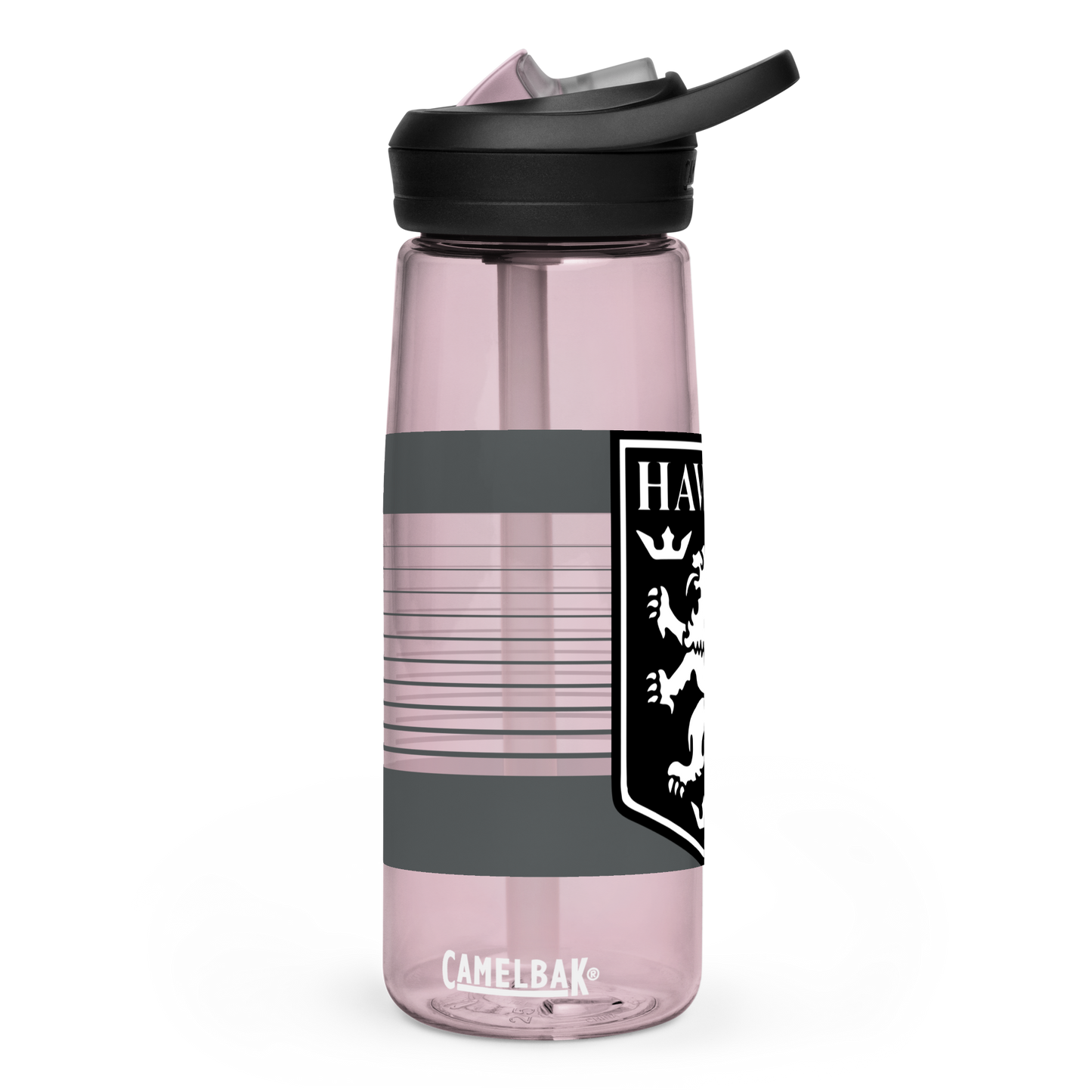 Lions FC | Logo Sports water bottle